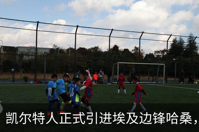 凯尔特人正式引进埃及边锋哈桑，签约四年